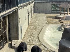 -石家庄市动物园