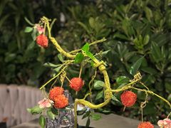 -故里和山·成都火锅(欢乐港湾店)