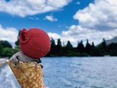 -Patagonia Chocolates(皇后镇店)