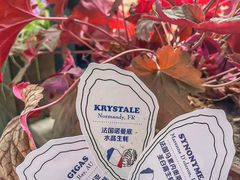 -普朗姆生蚝吧(原建国路店)