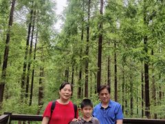 -黄海国家森林公园