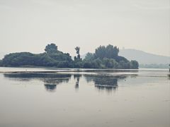 -渤公岛生态公园