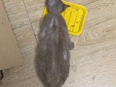 -佳佳动物医院