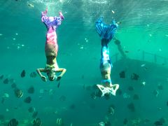 -瑞德姆美人鱼海底演艺主题餐厅(亚龙湾店)