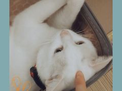 -太二酸菜鱼(深圳布吉万象汇店)