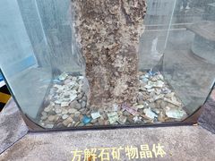 -陕西自然博物馆