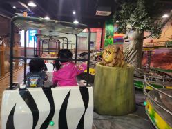 点击看大图 -卡通尼·Safari非洲探索乐园·生日会(金桥国际商业广场店)