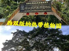 -中国科学院西双版纳热带植物园