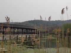 -石塘人家