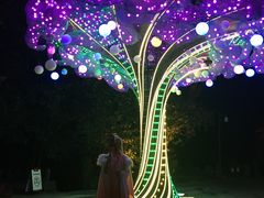 -杭州黄龙洞