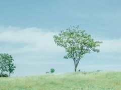 -良渚古城遗址公园