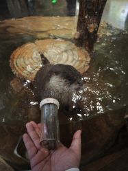 -Zoolung Zoolung动物主题公园(海信广场店)