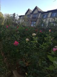点击看大图 -芙蓉花月子会所(朝阳区店)