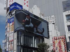 -涩谷区
