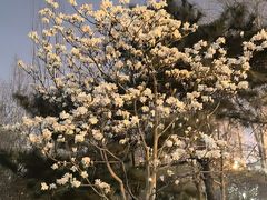 -北京颐和宾馆