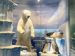 -国家自然博物馆