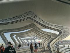 -演武大桥观景平台