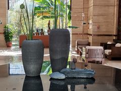 -九华山聚龙大酒店