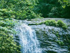 -龙苍沟森林公园