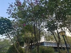 -顺峰山公园