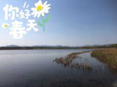-绿堤公园