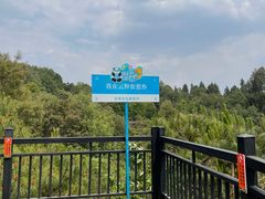 -云南野生动物园