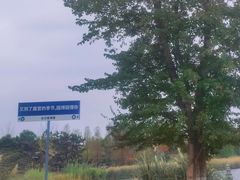 -武汉园博园(武汉自然博物馆)