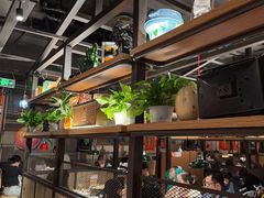 -探鱼·鲜青椒爽麻烤鱼(北京路天河城店)