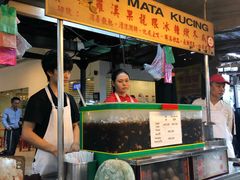 -罗汉果龙眼冰糖燉冬瓜