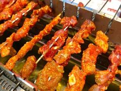 -邢氏老太太烤串(北兴街店)