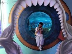 -海合安武汉极地海洋公园
