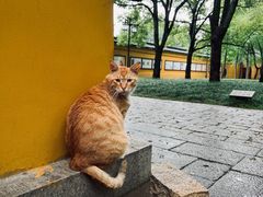 -西园戒幢律寺