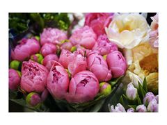 -双季花艺园艺市场(浦东店)