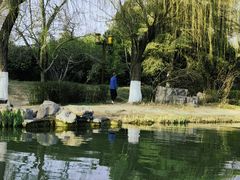 -济南大明湖景区
