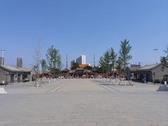 -药王庙(安国市)
