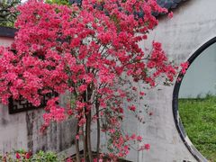 -苏州上方山国家森林公园