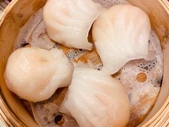虾饺-捷信牛奶甜品世家(五道口店)