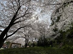 -苏州上方山国家森林公园