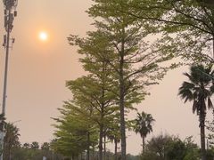 -北海金海湾红树林生态旅游区