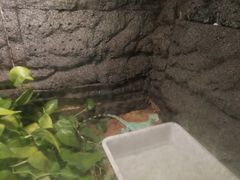 -上海大自然野生昆虫馆(东方明珠·爬宠昆虫探索中心)