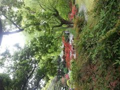 android_upload_pic-申粤轩酒楼·三十年粤菜经典(丁香花园店)
