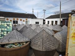 -苏州市吴中区光福窑上花果蜜饯厂