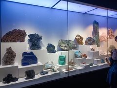 -重庆自然博物馆(新馆)