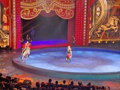 -珠海横琴长隆《卡卡虎奇遇记》