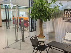 -TMG潮流健身(奥体莲荷里店)