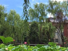 -四川大学(望江校区)