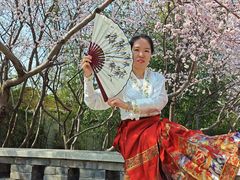 -桃花堤公园