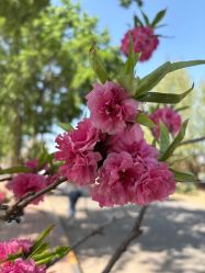 点击看大图 -萌宠亲子动物乐园(槐房万达店)