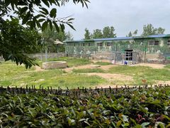 -西安秦岭野生动物园
