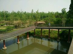 -白鹭湾湿地公园